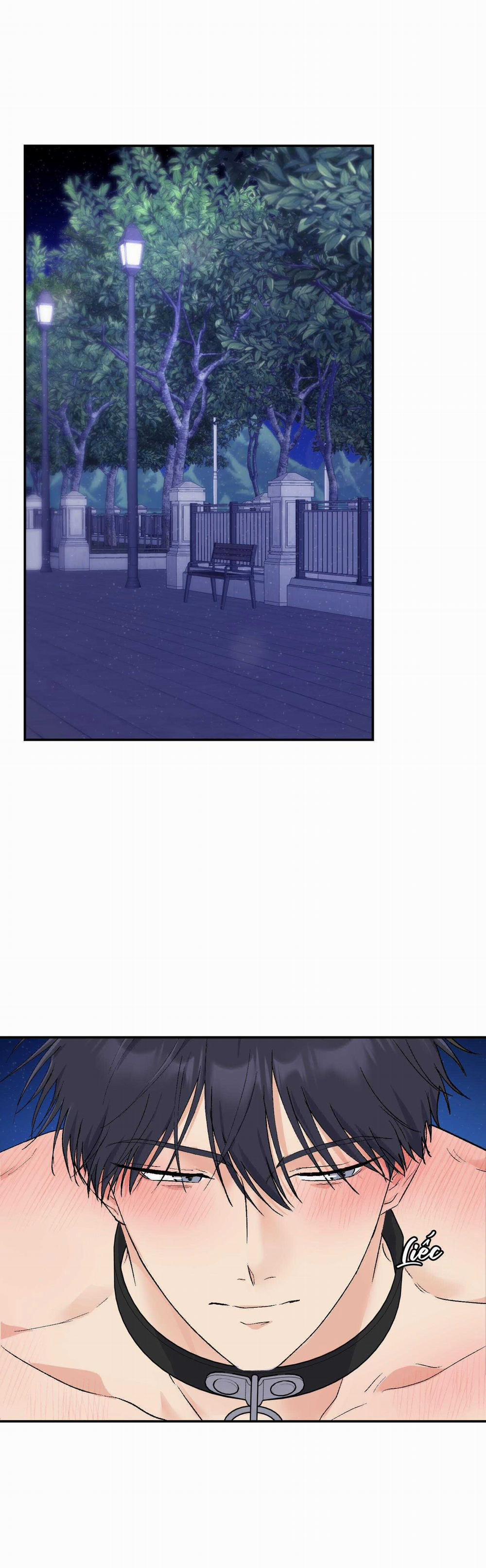 Tuyển Tập Ngực Bự Mlem - BDSM Của Nhà Kim 175.5 trang 6