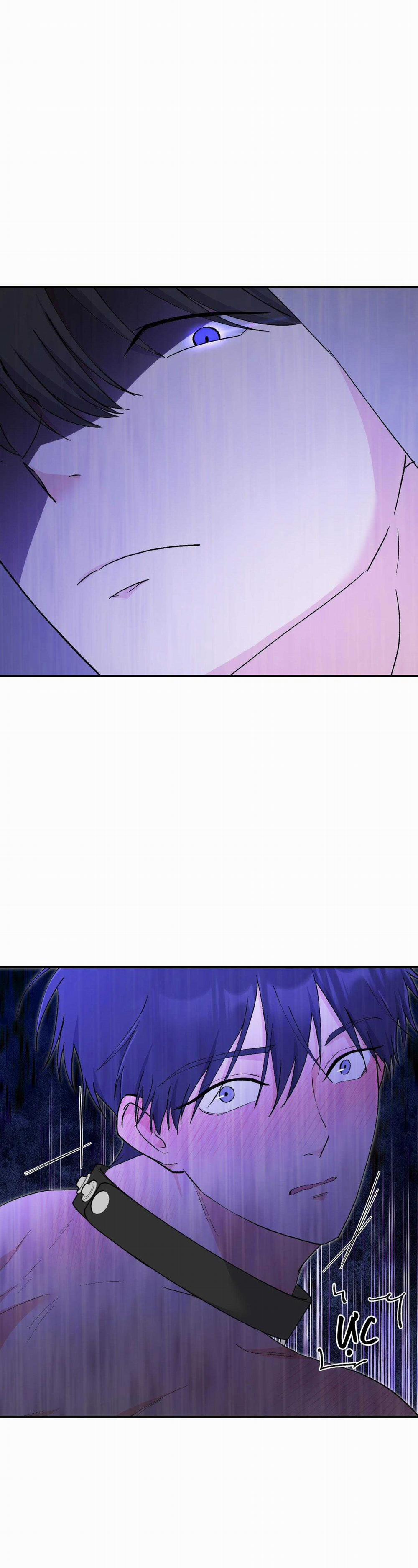 Tuyển Tập Ngực Bự Mlem - BDSM Của Nhà Kim 175.5 trang 9