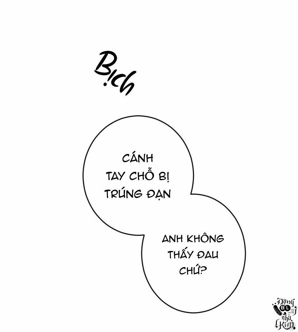 Tuyển Tập Ngực Bự Mlem - BDSM Của Nhà Kim 38 trang 16