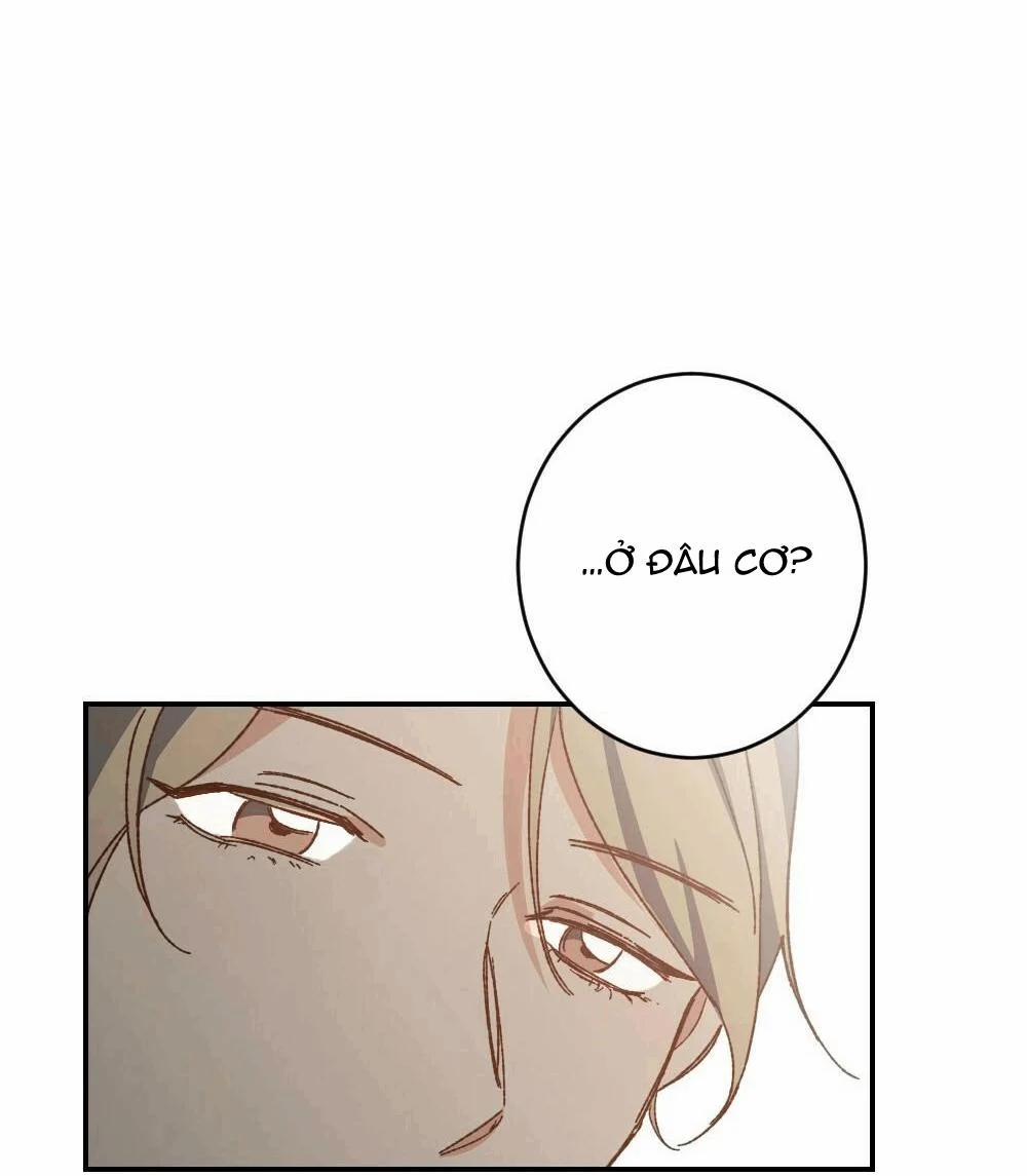 Tuyển Tập Ngực Bự Mlem - BDSM Của Nhà Kim 38 trang 19