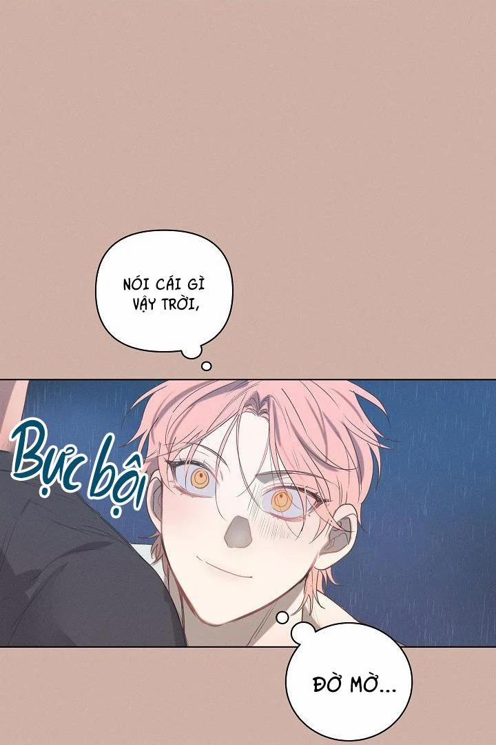 Tuyển Tập Ngực Bự Mlem - BDSM Của Nhà Kim 4 trang 39