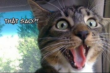 Tuyển Tập Short Hentai Comic 4 (Star Vs The Forces Of Evil) trang 2