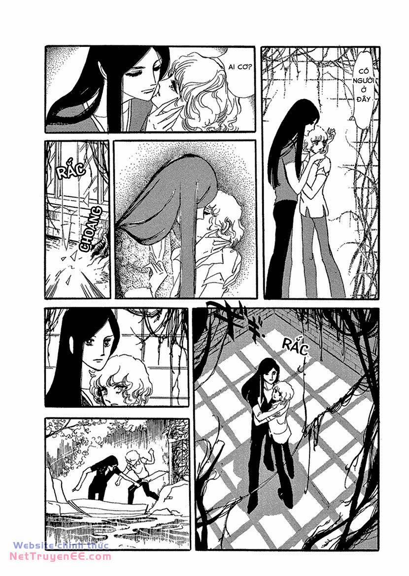 Tuyển Tập Truyện Ngắn Của Hagio Moto 14 trang 11