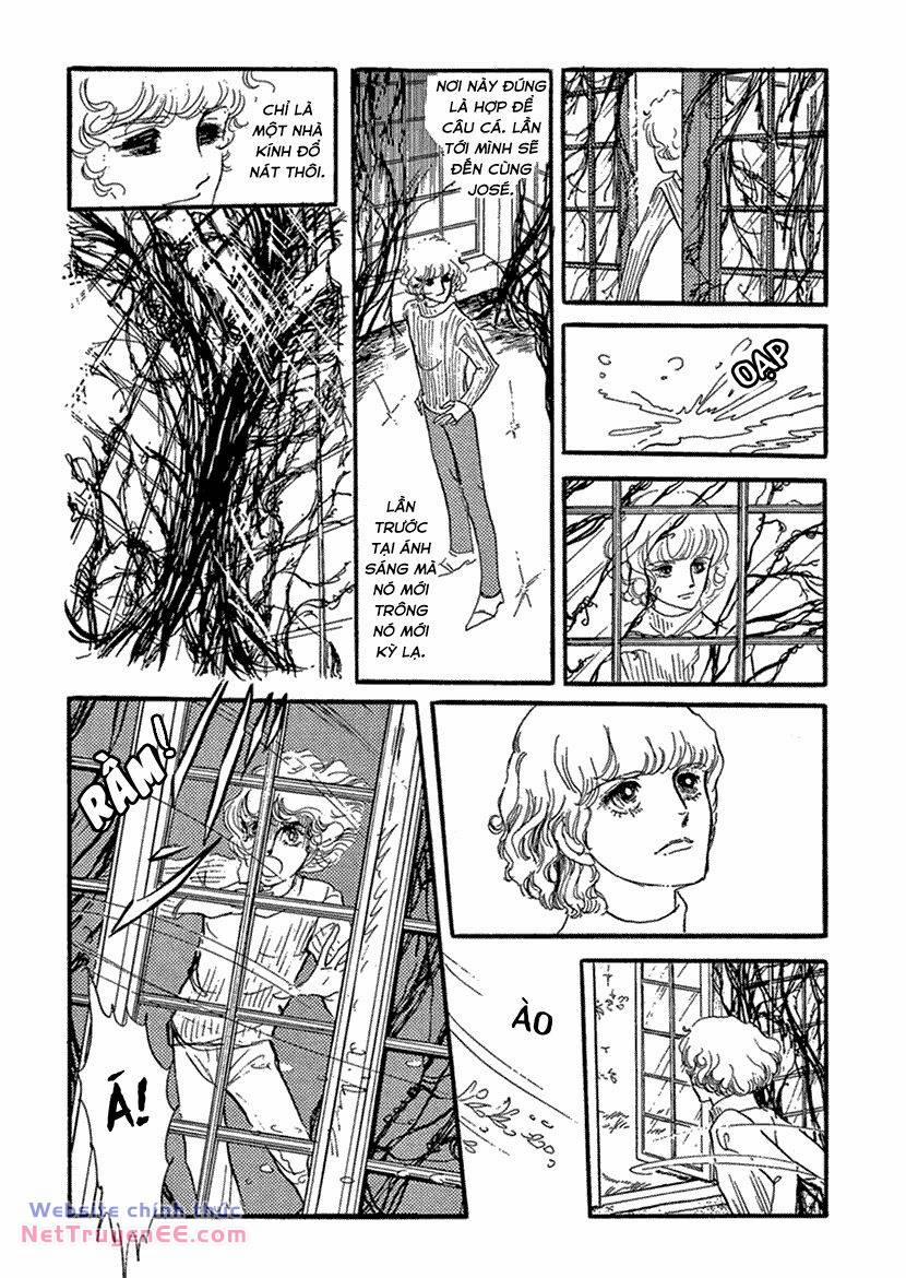 Tuyển Tập Truyện Ngắn Của Hagio Moto 14 trang 16