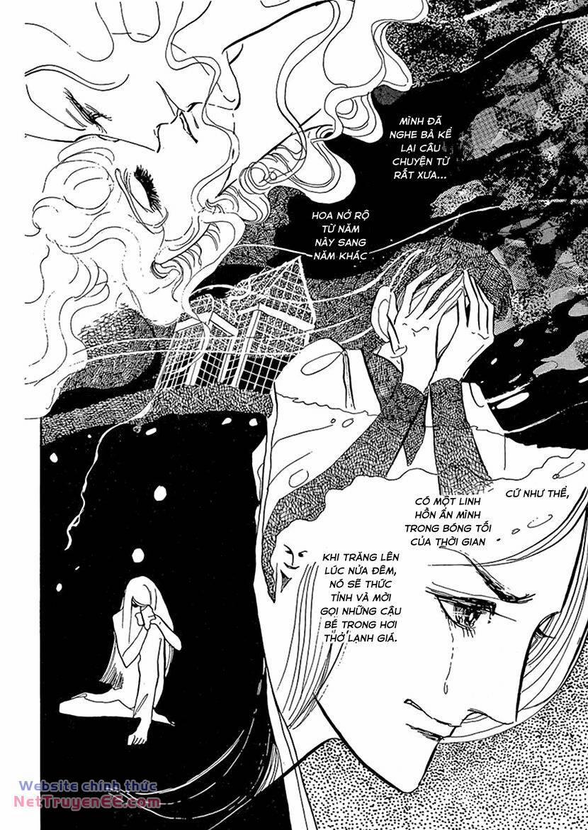 Tuyển Tập Truyện Ngắn Của Hagio Moto 14 trang 29