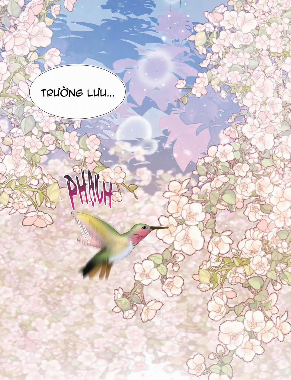 Tuyệt Mỹ Bạch Liên Online Dạy Học 17 trang 21