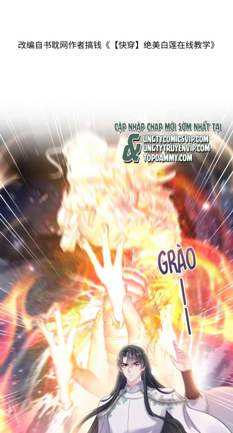 Tuyệt Mỹ Bạch Liên Online Dạy Học 182 trang 1