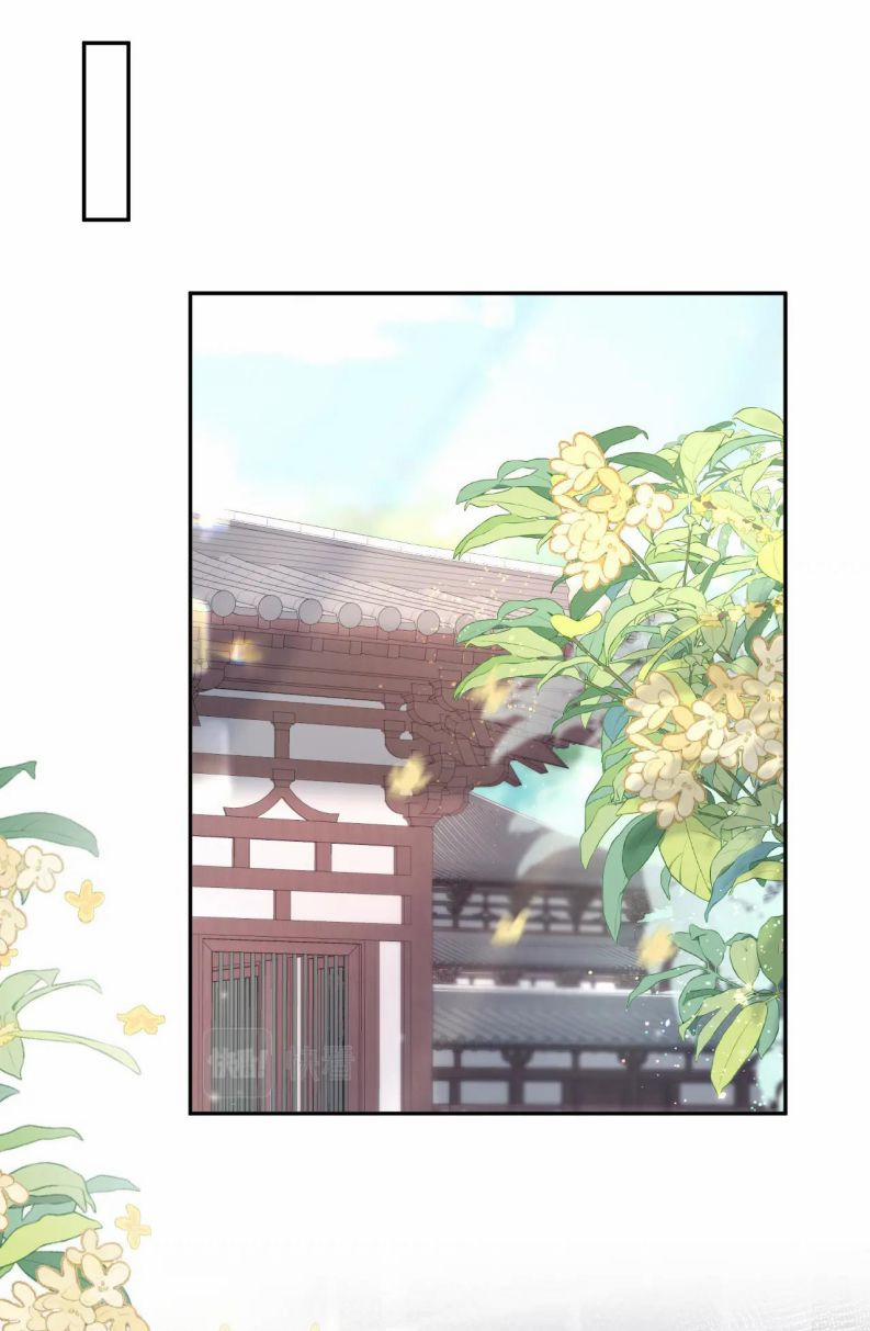 Tuyệt Mỹ Bạch Liên Online Dạy Học 188 trang 8