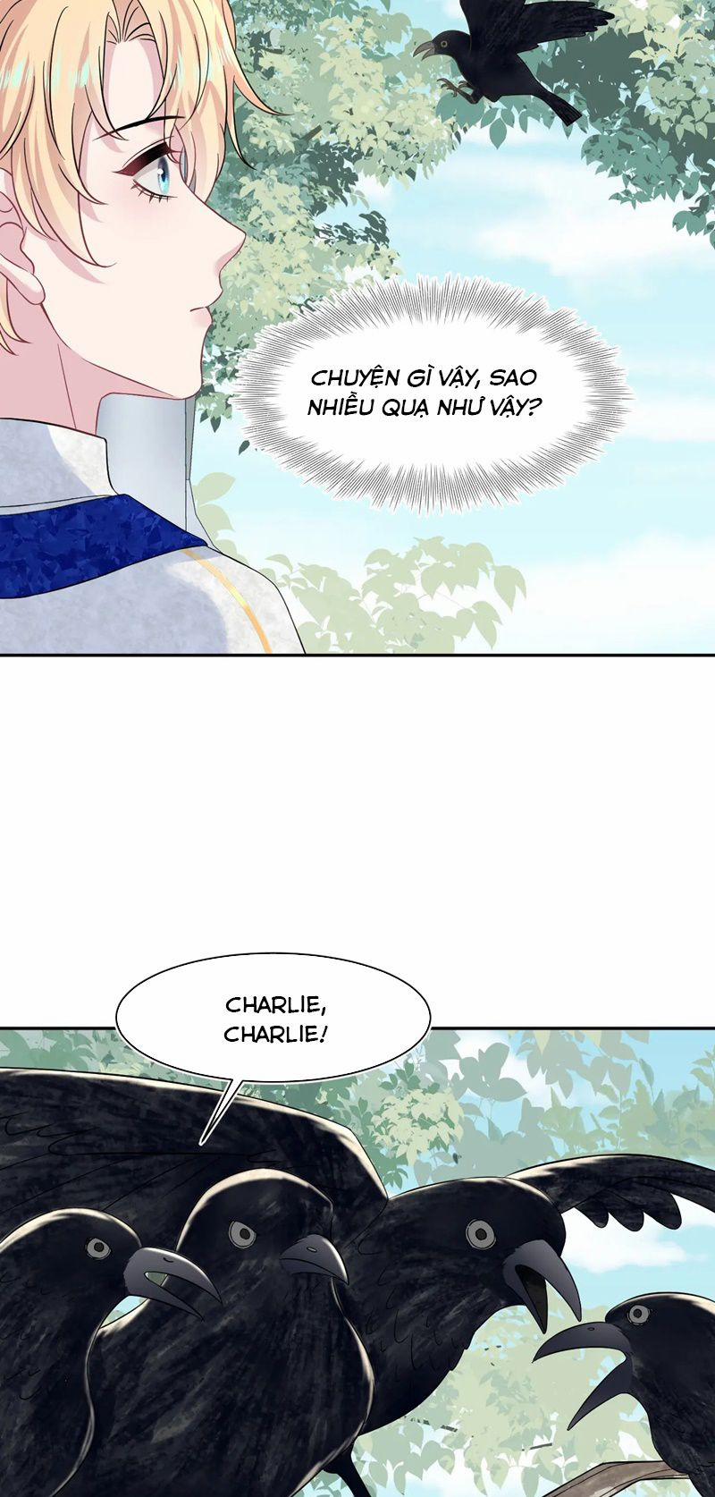 Tuyệt Mỹ Bạch Liên Online Dạy Học 232 trang 20