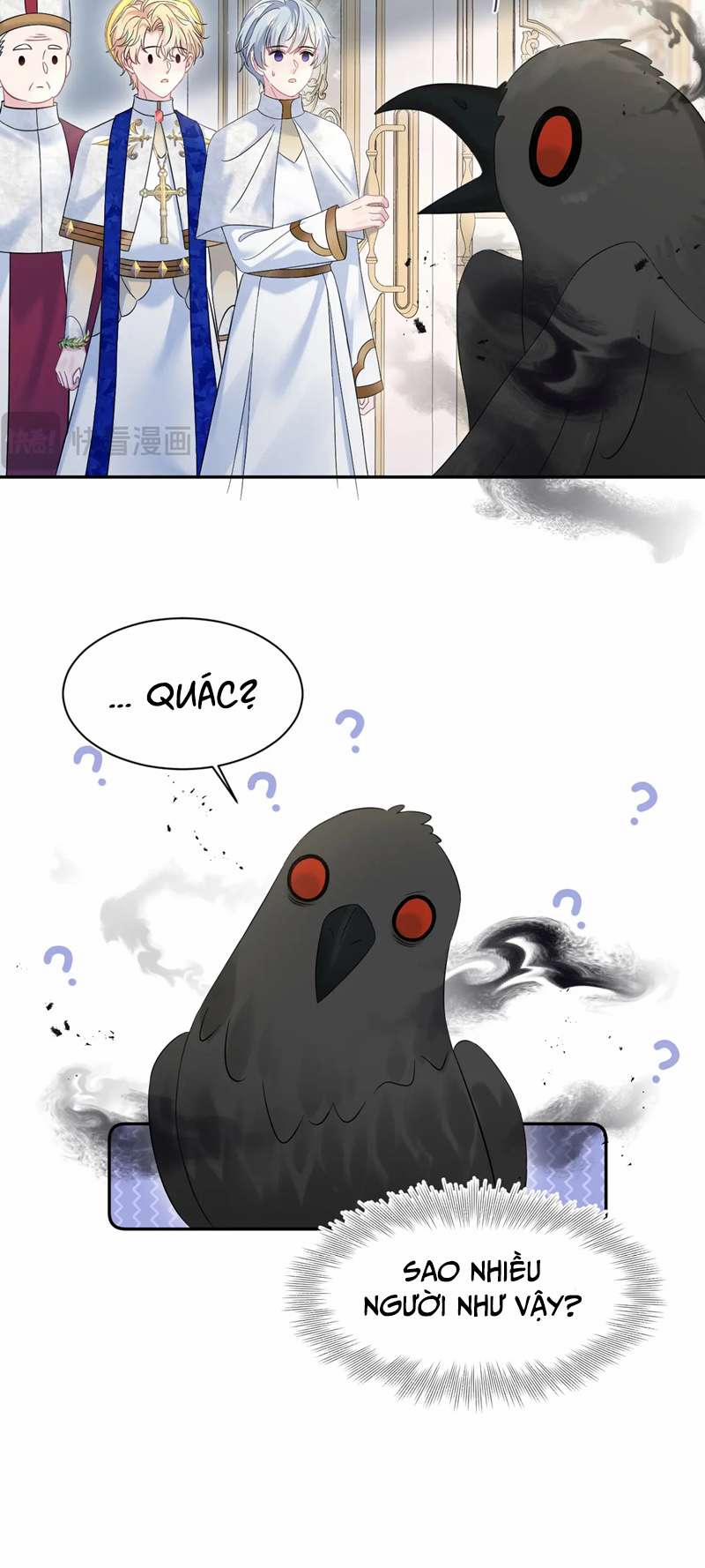 Tuyệt Mỹ Bạch Liên Online Dạy Học 234 trang 10