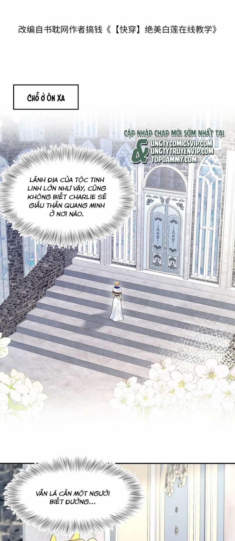 Tuyệt Mỹ Bạch Liên Online Dạy Học 240 trang 1