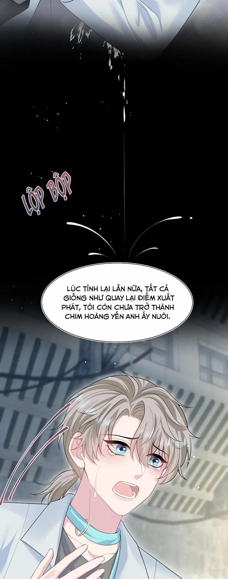 Tuyệt Mỹ Bạch Liên Online Dạy Học 292 trang 4