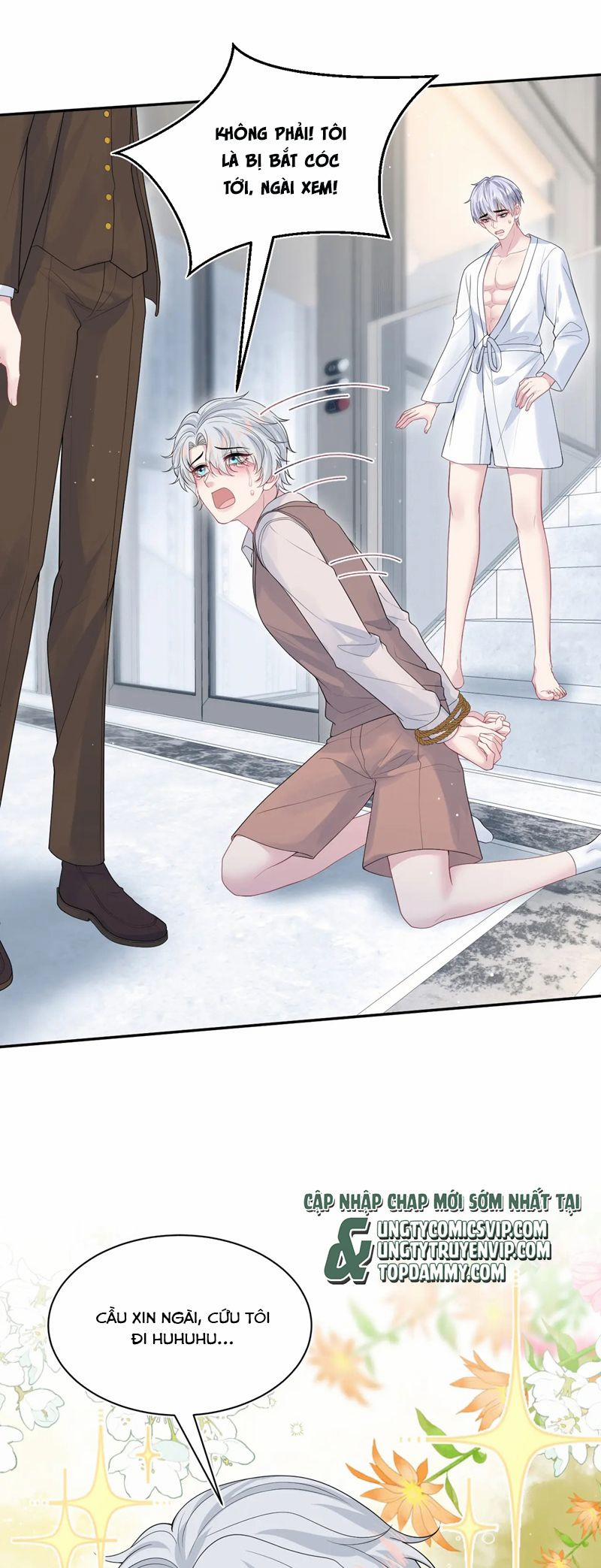 Tuyệt Mỹ Bạch Liên Online Dạy Học 323 trang 11