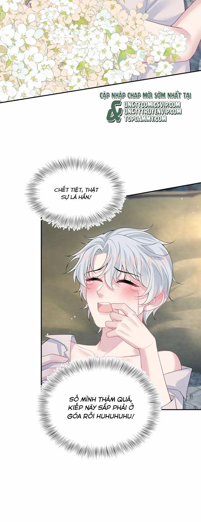 Tuyệt Mỹ Bạch Liên Online Dạy Học 324 trang 1