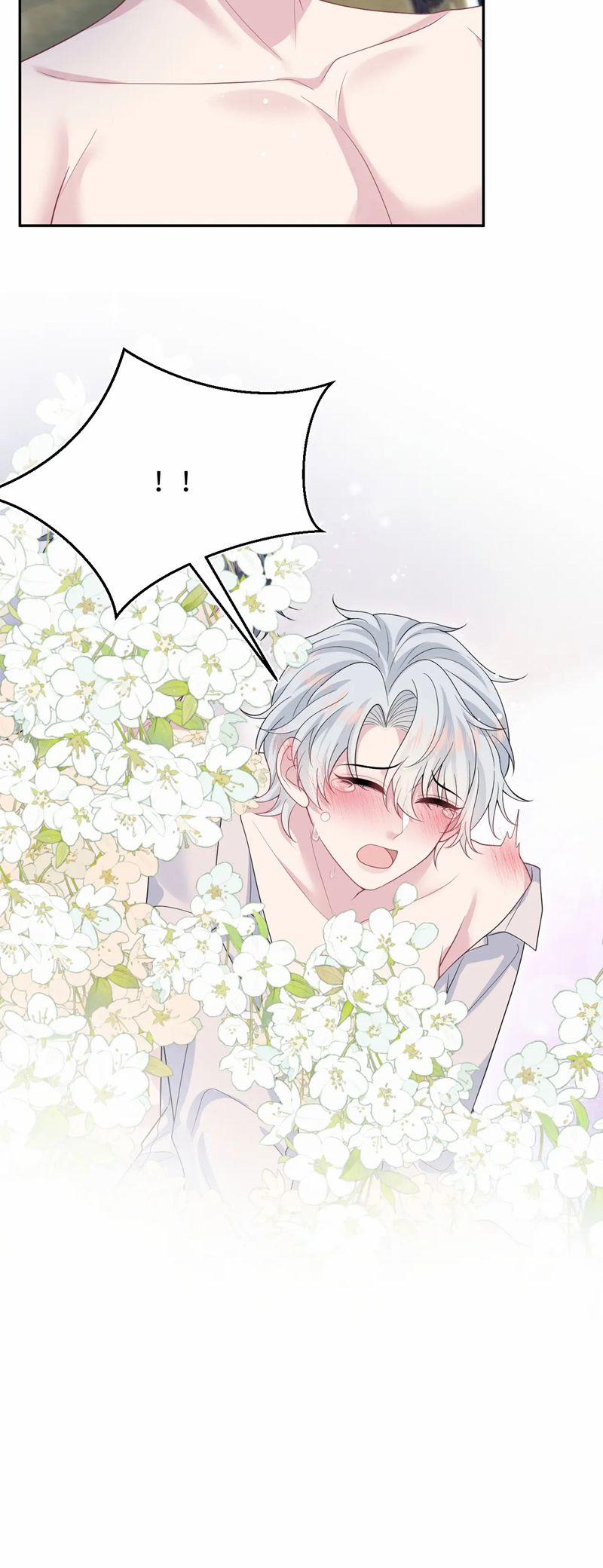 Tuyệt Mỹ Bạch Liên Online Dạy Học 324 trang 8