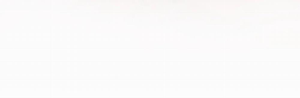 Tuyệt Mỹ Bạch Liên Online Dạy Học 35 trang 10