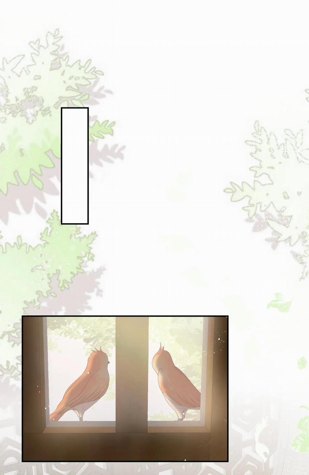 Tuyệt Mỹ Bạch Liên Online Dạy Học 36 trang 11