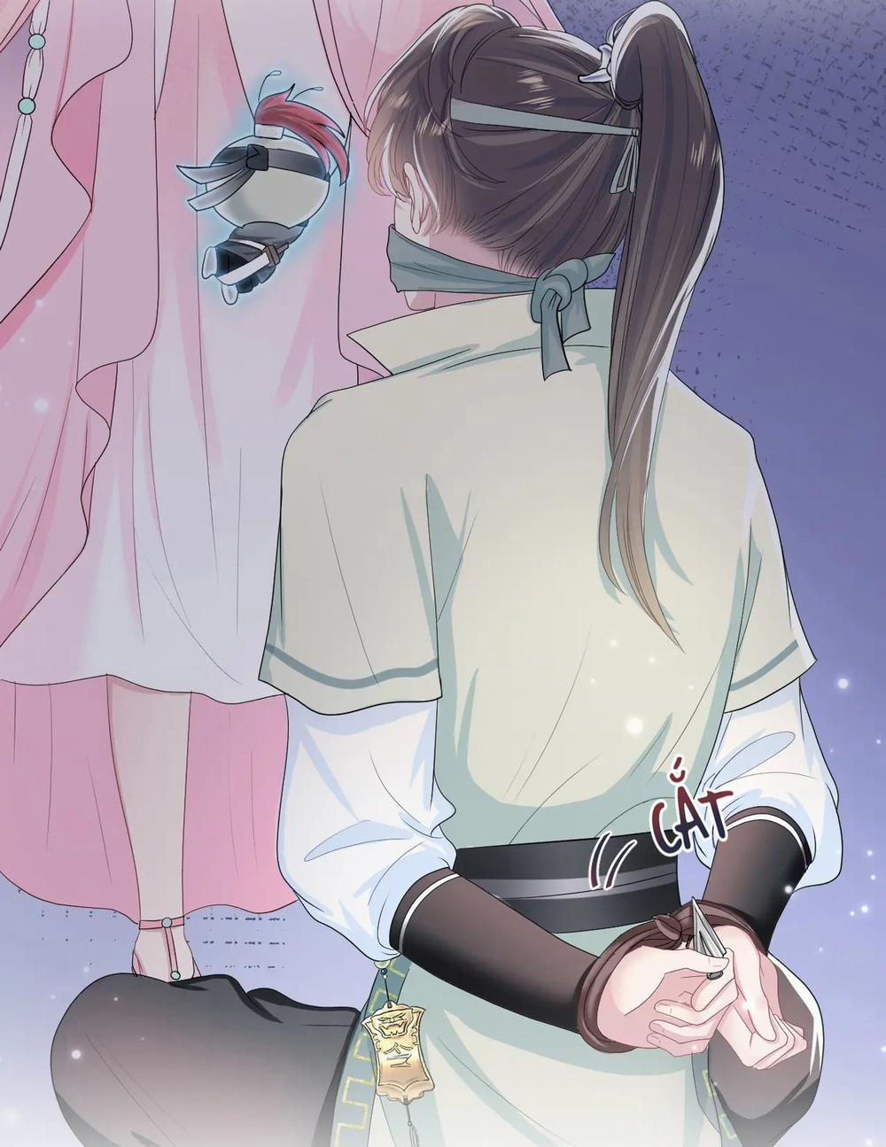 Tuyệt Mỹ Bạch Liên Online Dạy Học 50 trang 13