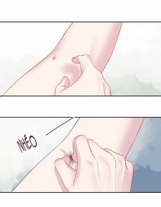 Tuyệt Mỹ Bạch Liên Online Dạy Học 8 trang 8