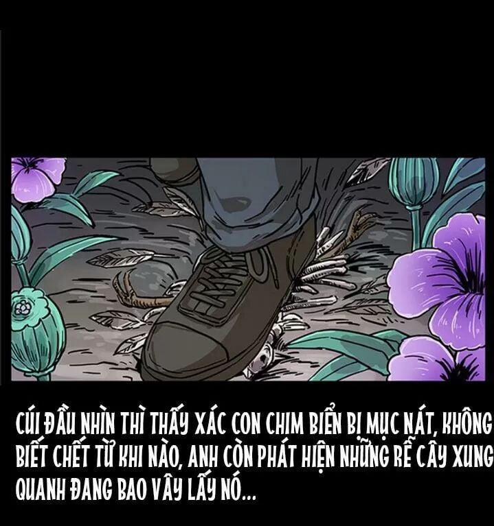 U Minh Ngụy Tượng 239 trang 45