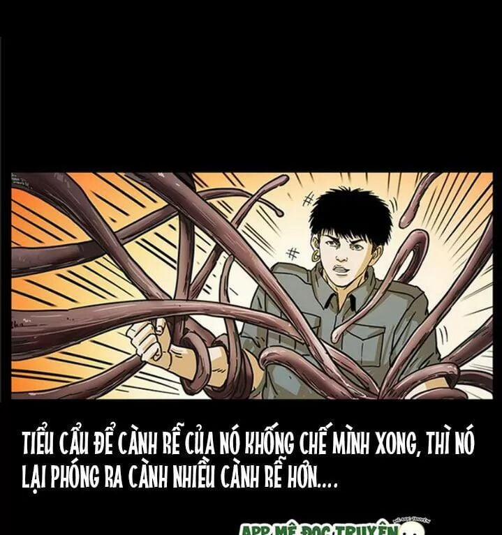 U Minh Ngụy Tượng 239 trang 66