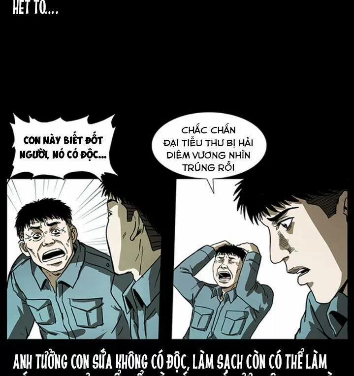 U Minh Ngụy Tượng 243 trang 16