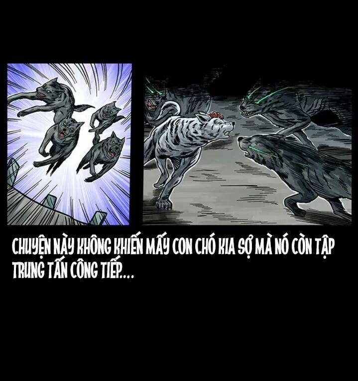 U Minh Ngụy Tượng 255 trang 18