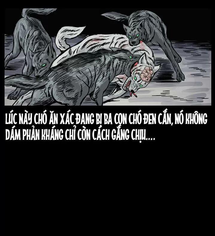 U Minh Ngụy Tượng 255 trang 52