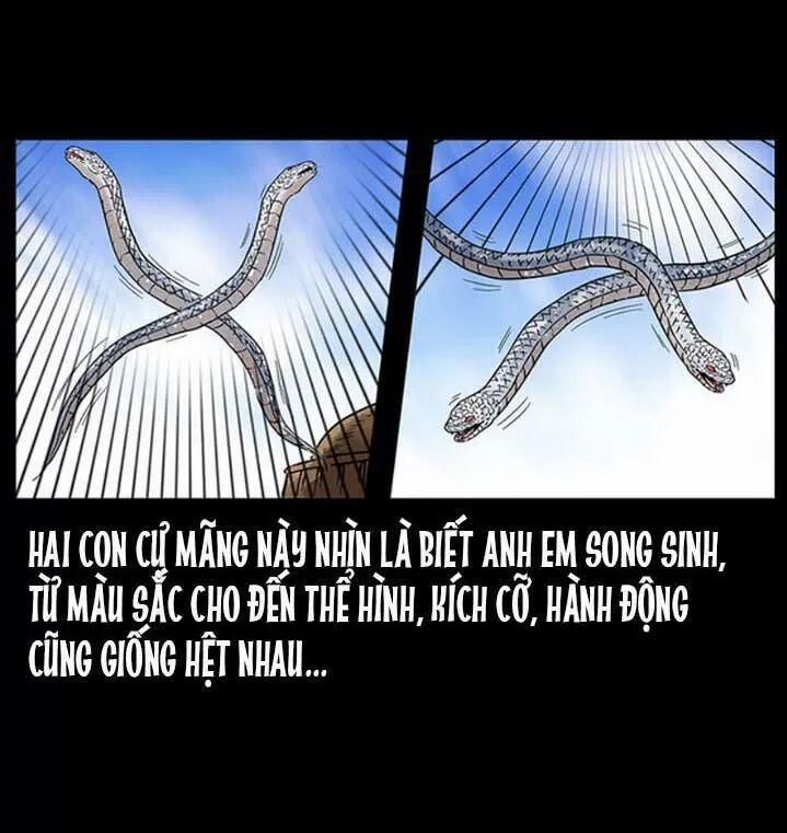 U Minh Ngụy Tượng 286 trang 10