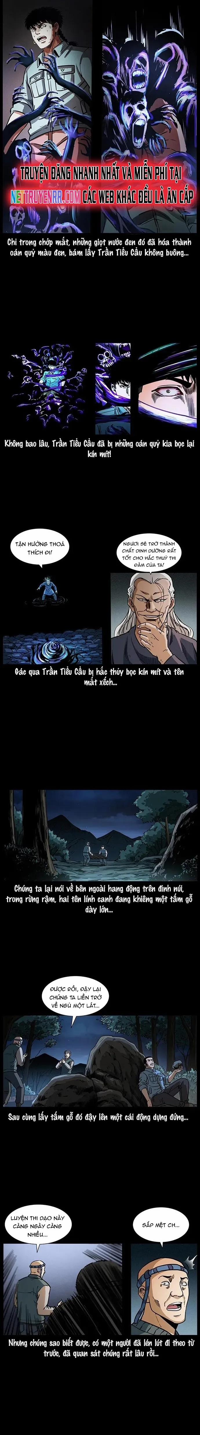 U Minh Ngụy Tượng 336 trang 13