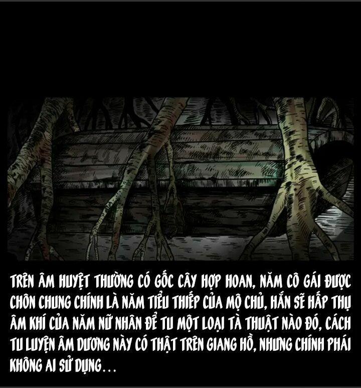 U Minh Ngụy Tượng 46 trang 29