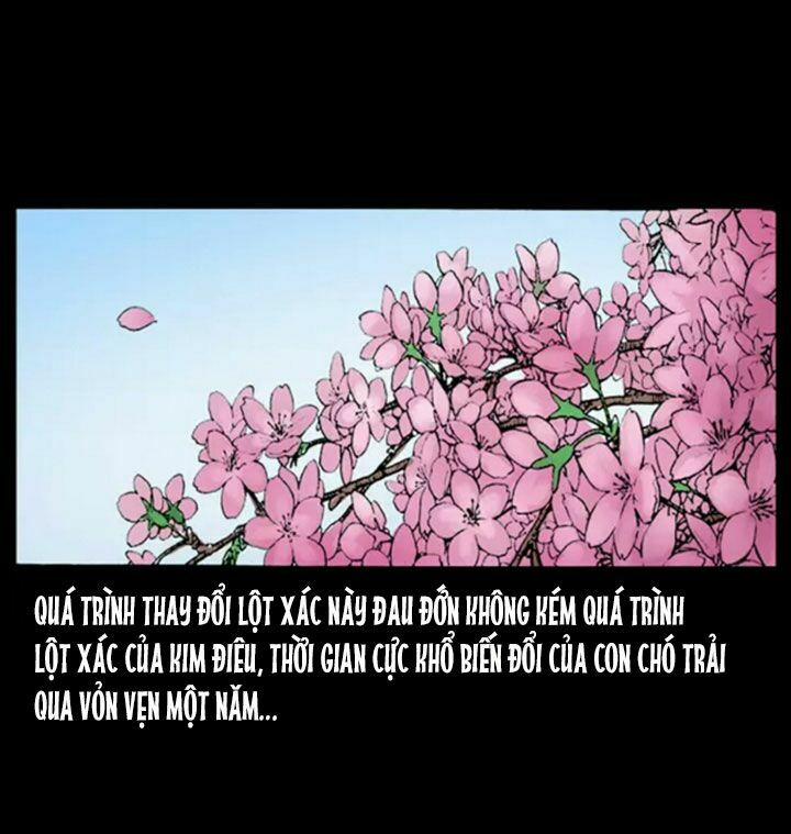 U Minh Ngụy Tượng 51 trang 74