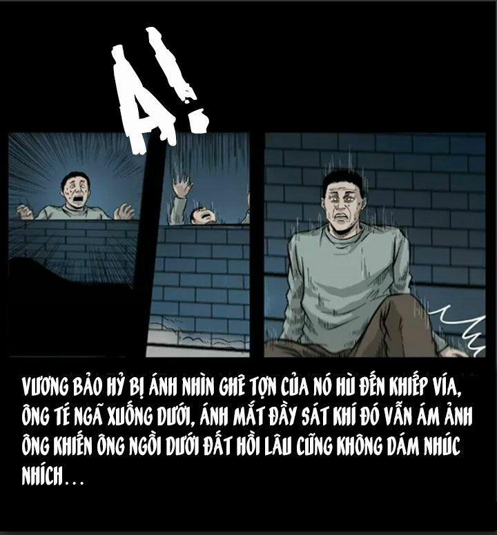 U Minh Ngụy Tượng 56 trang 78