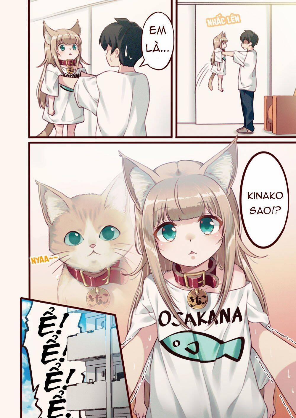 Uchi Ni Neko Ga Yattekita! 1 trang 8