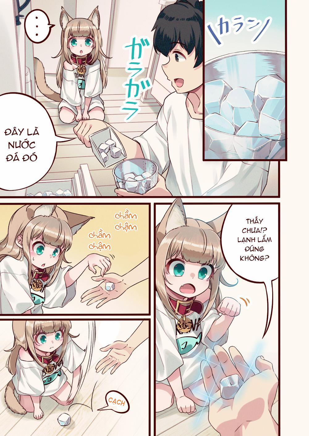 Uchi Ni Neko Ga Yattekita! 7 trang 1