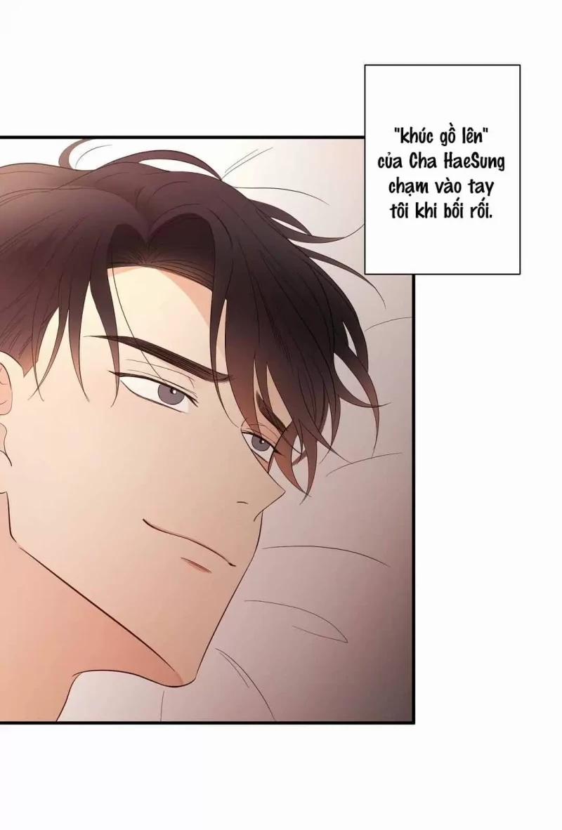 Underdog Connection 8 trang 21