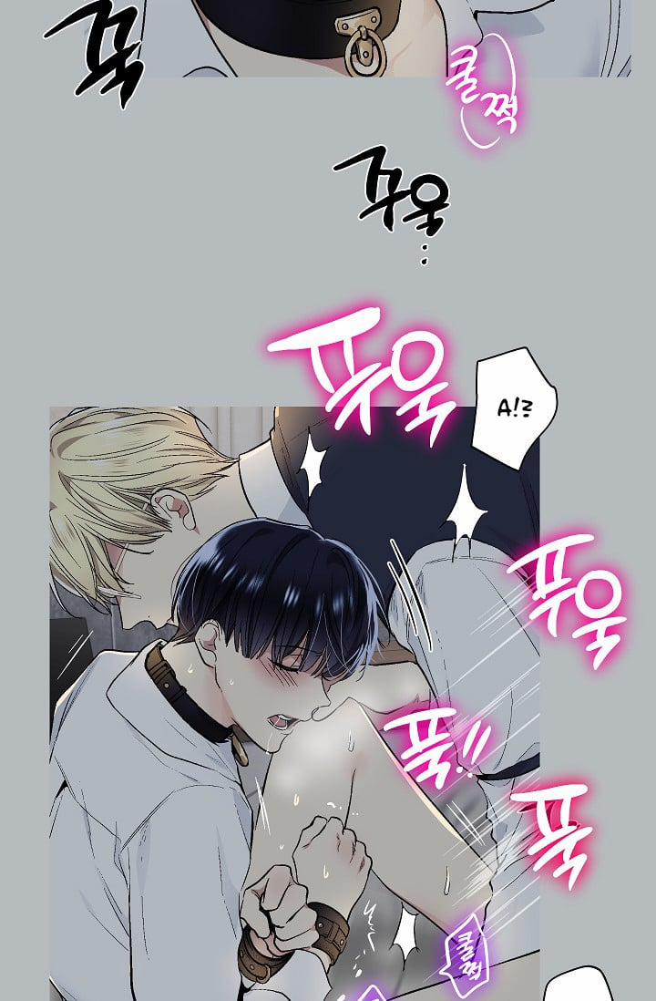 Ứng Dụng Xấu Hổ 31 trang 48