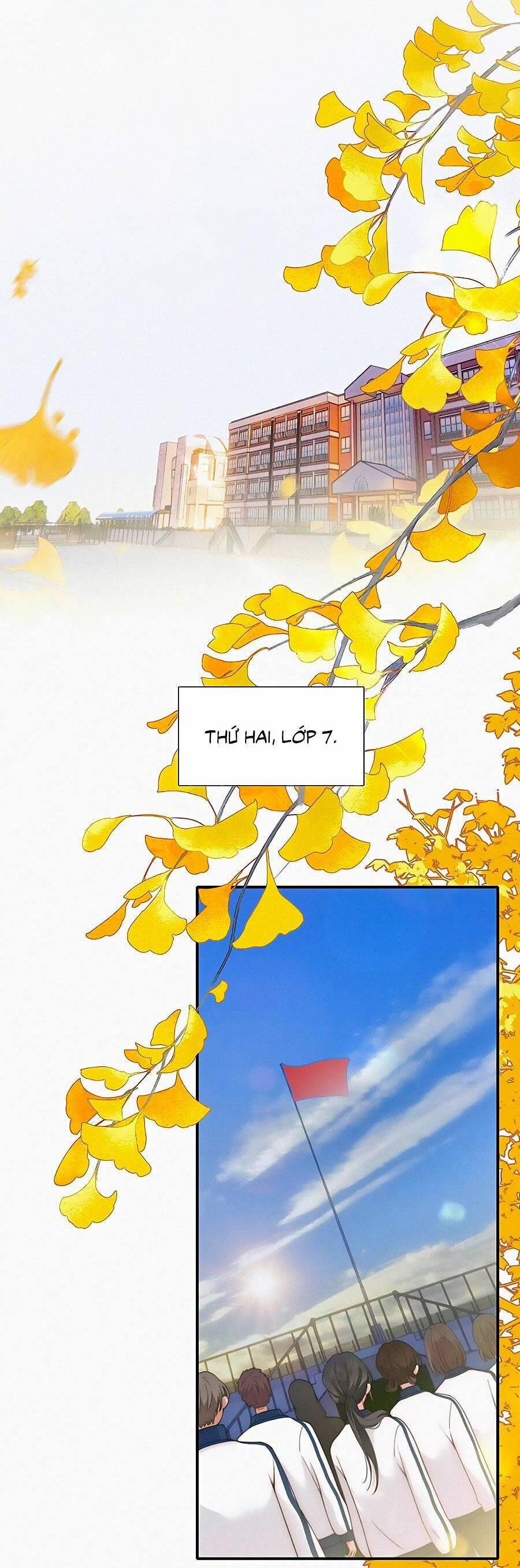 Vẫn Cứ Nuông Chiều 14 trang 11