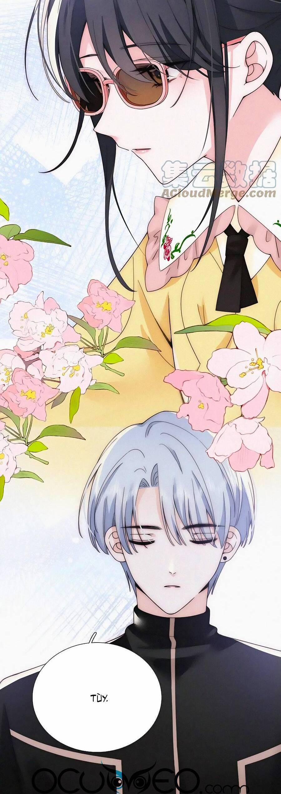 Vẫn Cứ Nuông Chiều 19 trang 13