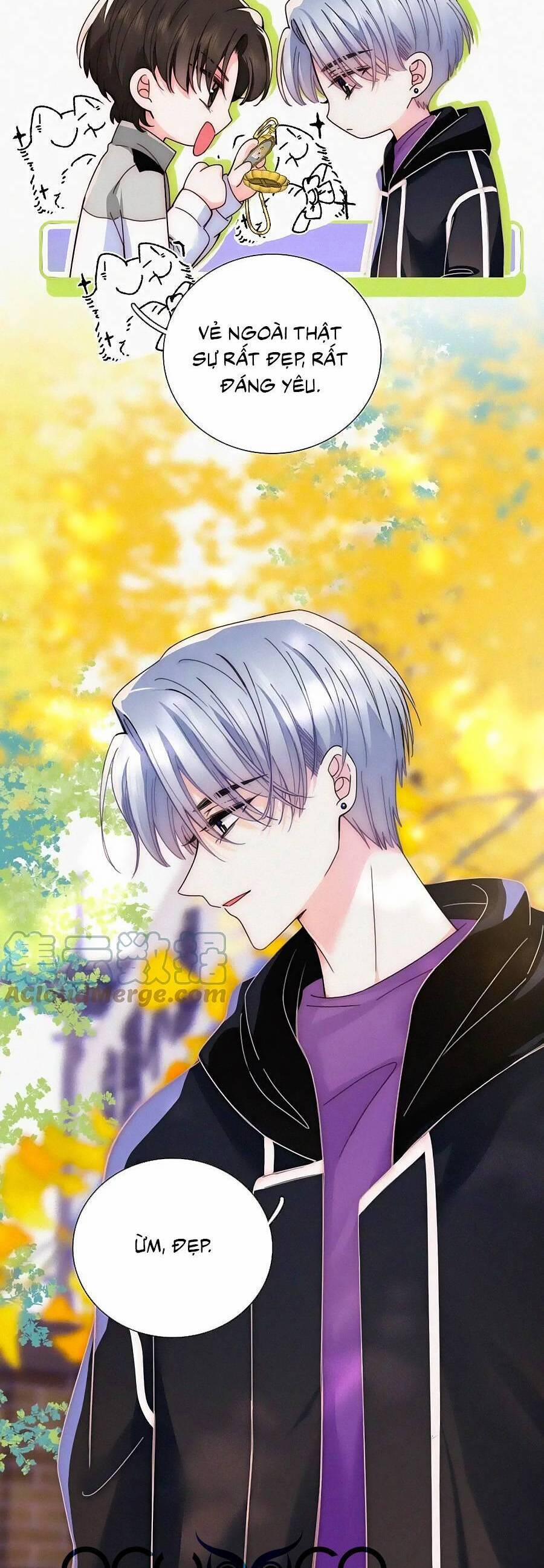 Vẫn Cứ Nuông Chiều 24 trang 14