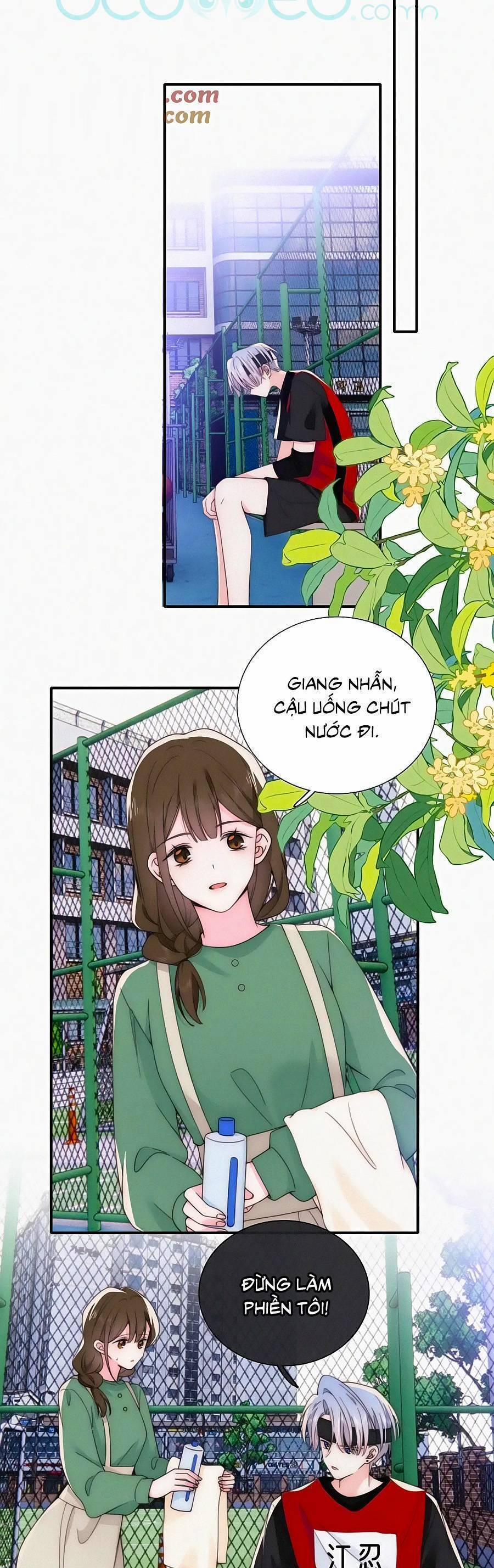 Vẫn Cứ Nuông Chiều 33 trang 17