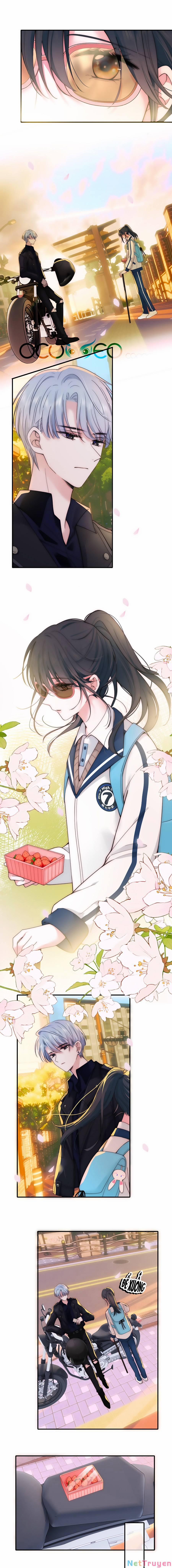 Vẫn Cứ Nuông Chiều 4 trang 6