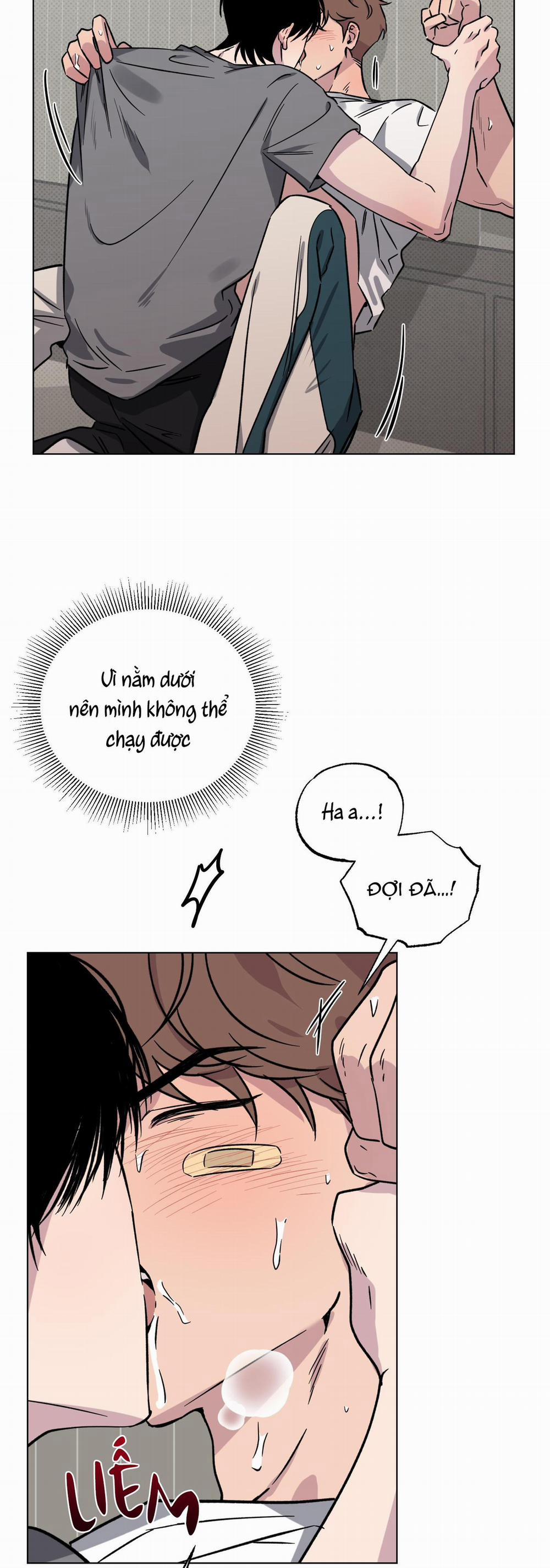 Vận May Bất Ngờ 12 trang 4