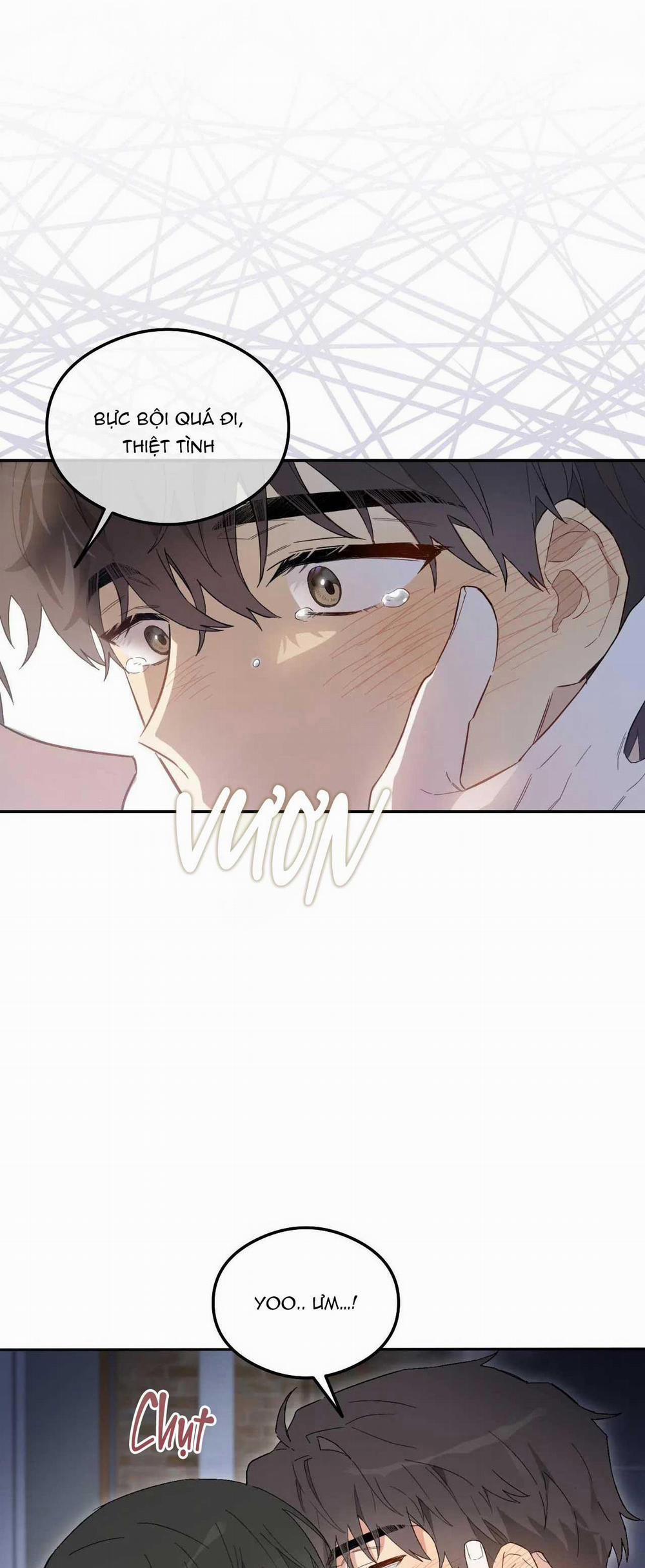 VẬN MỆNH CỦA CẬU LÀ GÌ? 1 trang 18