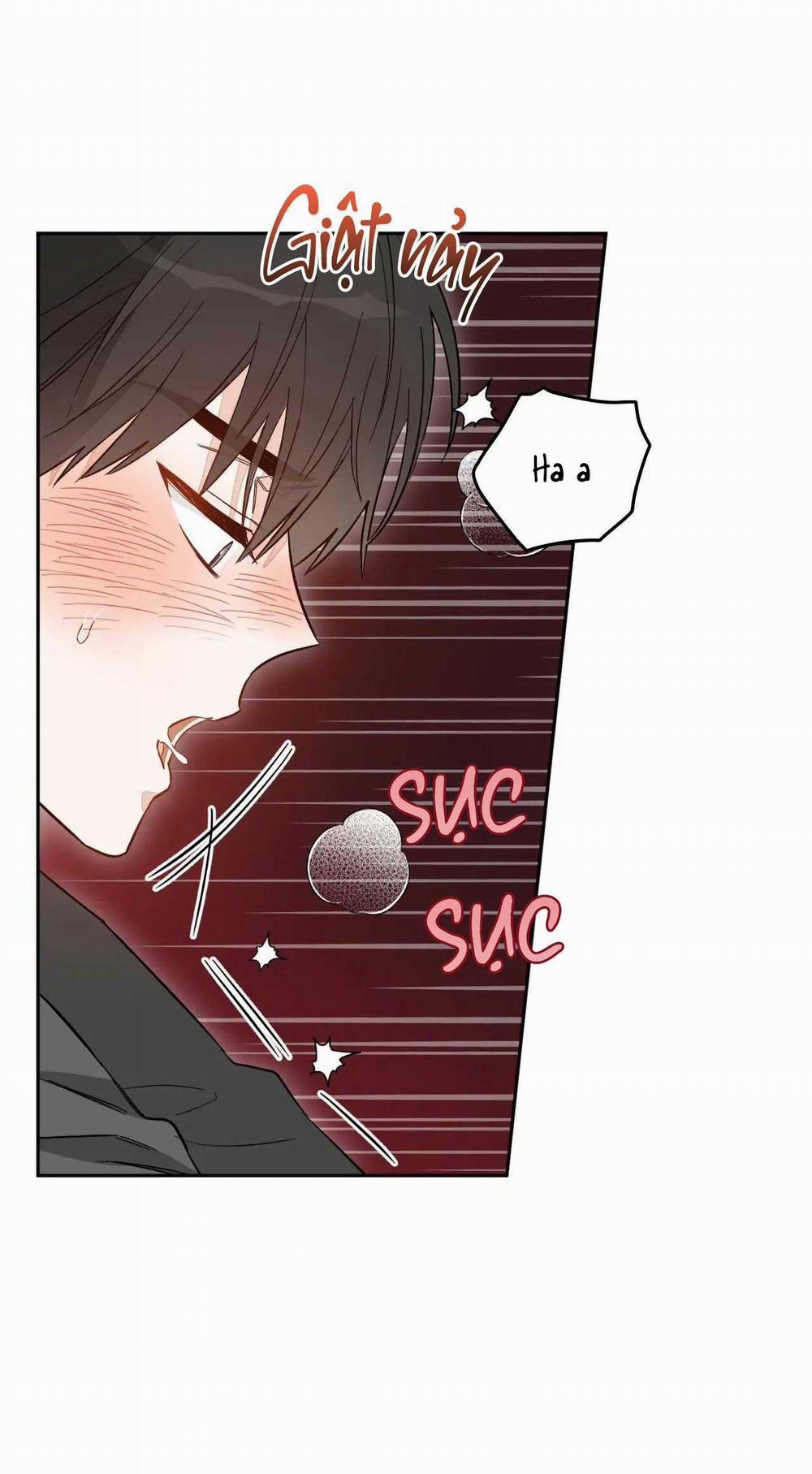 VẬN MỆNH CỦA CẬU LÀ GÌ? 1 trang 67