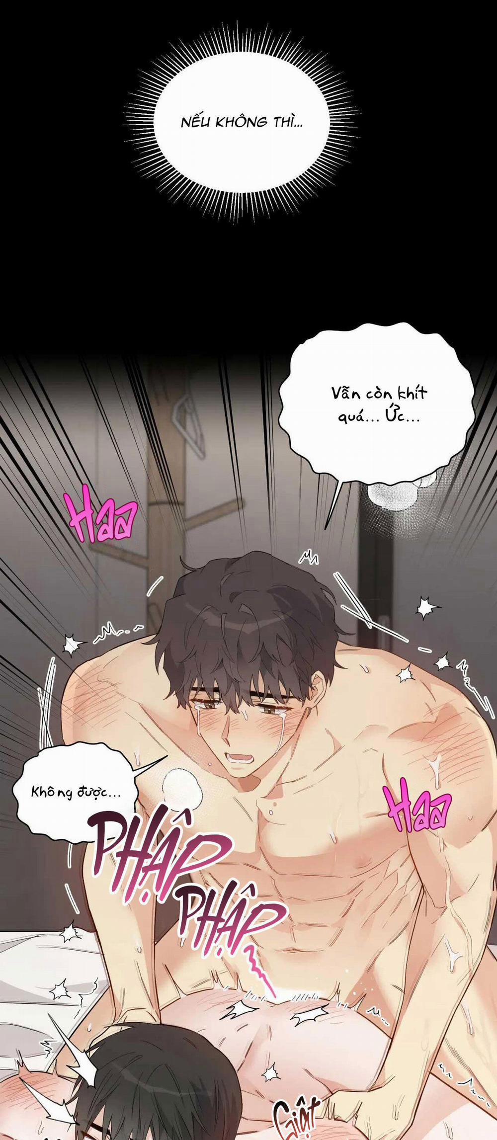 VẬN MỆNH CỦA CẬU LÀ GÌ? 2 trang 4