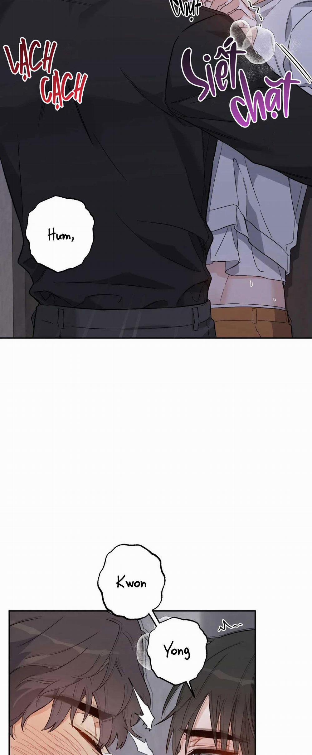 VẬN MỆNH CỦA CẬU LÀ GÌ? 2 trang 45