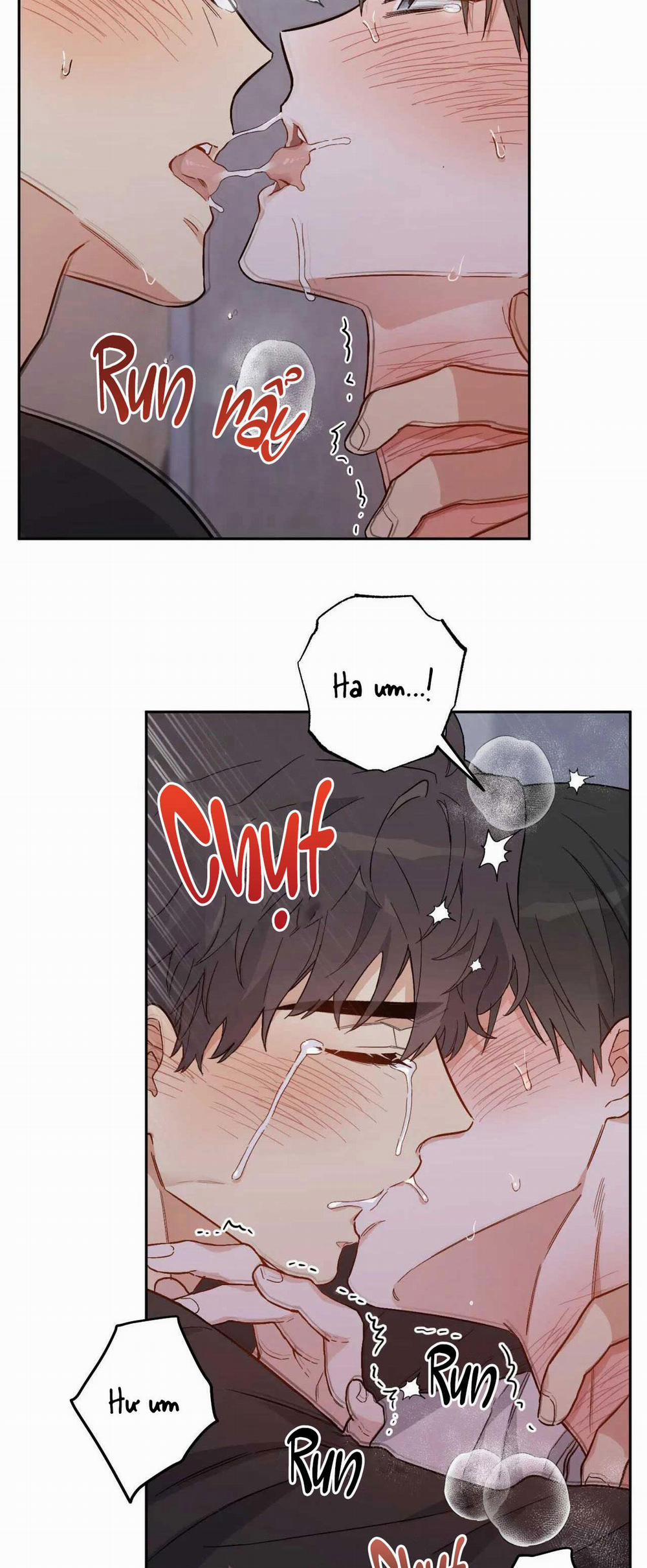 VẬN MỆNH CỦA CẬU LÀ GÌ? 2 trang 46