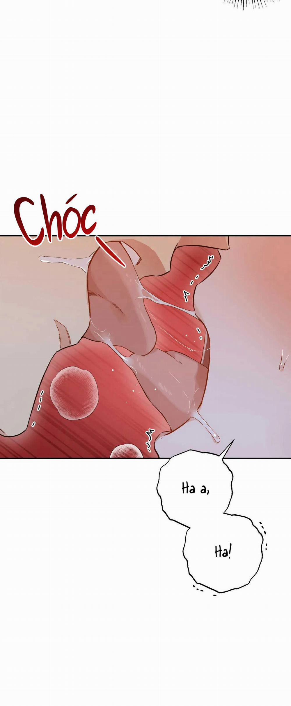 VẬN MỆNH CỦA CẬU LÀ GÌ? 2 trang 48