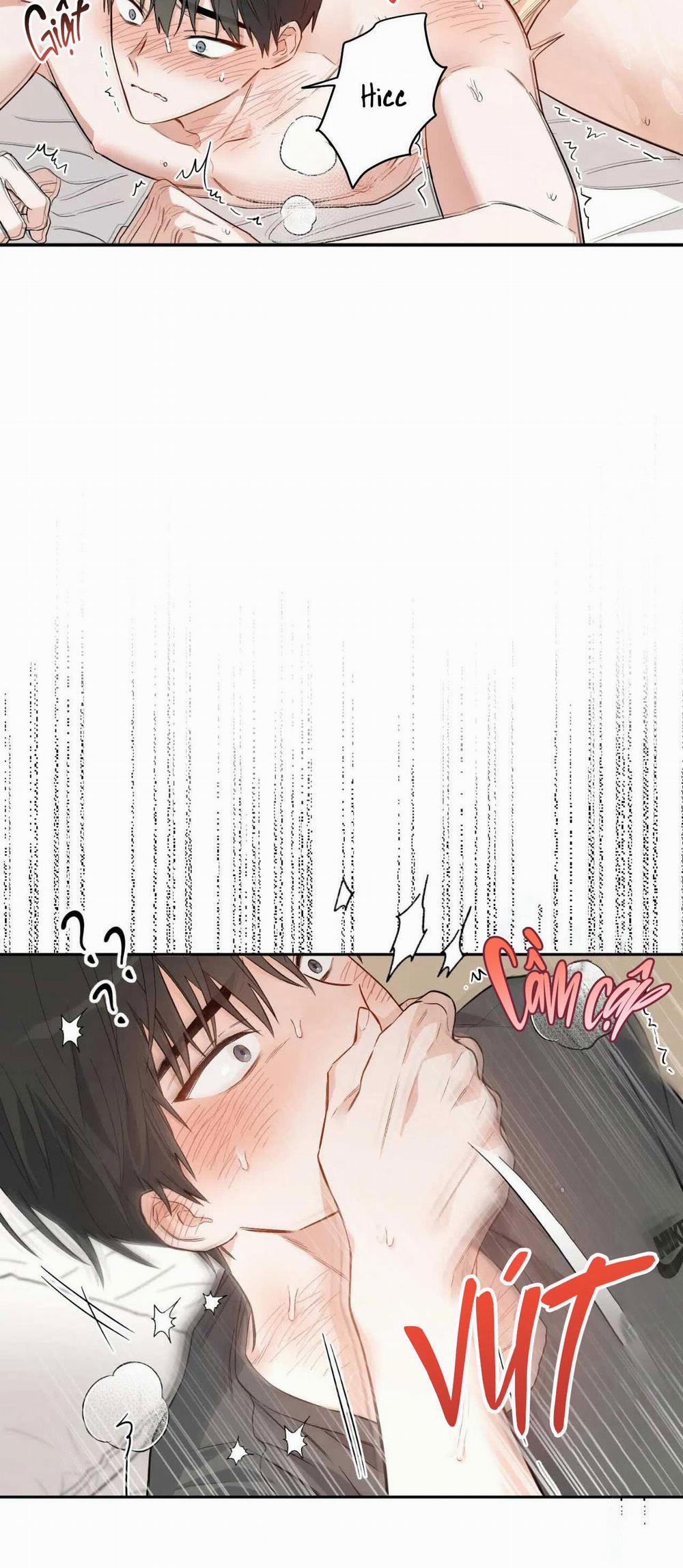 VẬN MỆNH CỦA CẬU LÀ GÌ? 2 trang 5